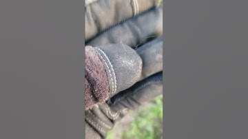 War of 1812?? #relics #metaldetecting #coins #canada #silver #civilwar #battlefield #1812 #button