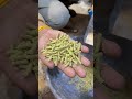 Animal feed making pellet machine 📲 +91 90985 87992