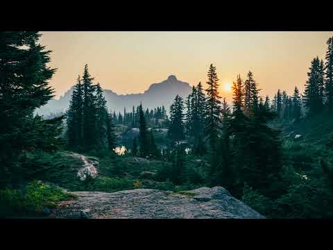 [簡譜] 你的名字十一筆 - 麥小兜