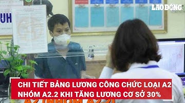 Chi tiết bảng lương công chức loại A2 nhóm A2.2 khi tăng lương cơ sở 30% | Báo Lao Động
