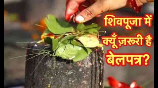Why Shiva Puja Is Incomplete Without Bilvapatra, How Bilva Tree Fulfills Dreams