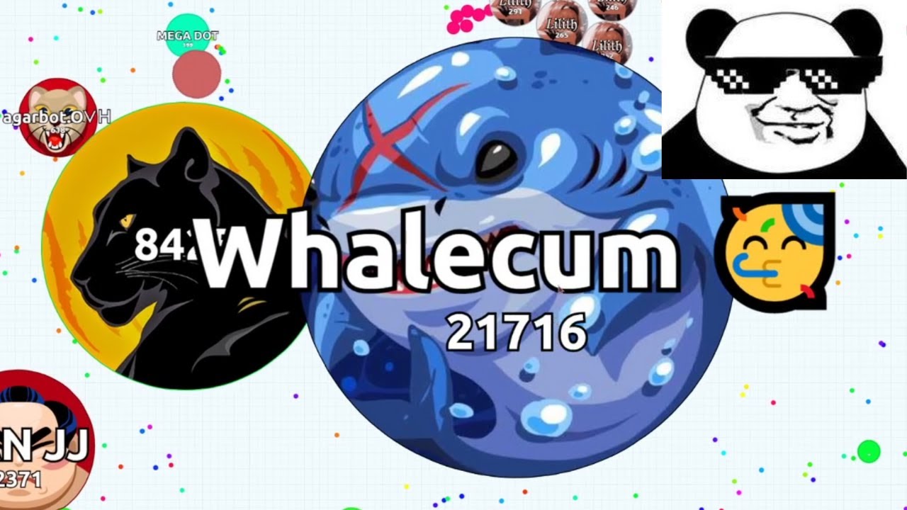 AGARIO MOST SATISFYING SOLO MOMENTS #2 (Agar.io Solo Gameplay FFA/EXP)