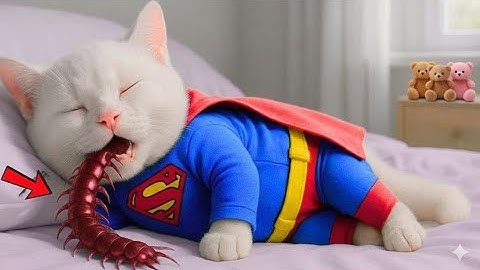 Compilation 🐱 OMG! Super Kitten Gets in Big Trouble After Eating a Magical Bug #Epic #Cat #Animation