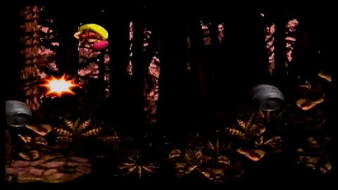 Donkey Kong Country 3: Dixie Kong