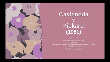Castaneda vs. Pickard (1981) - Court Case Project