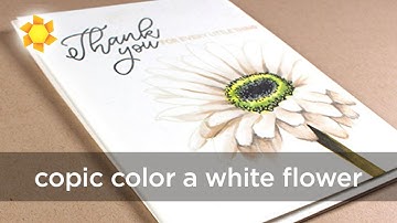 Alcohol Markers: Coloring a white flower