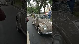 SO FUSCA TOP