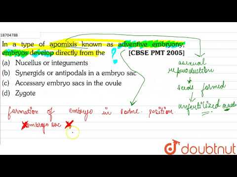 Wideo: W rodzaju apomiksy zarodki rozwijają się bezpośrednio z?