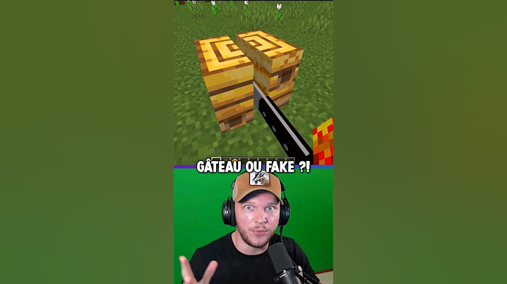 Gateaux ou Fake sur Minecraft... 🎂