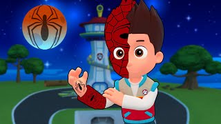 SPIDERMAN RYDER Is Coming?!  Very Sad Story But Happy Ending | Paw Patrol 3D Animation