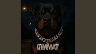 QIMMAT - DALIMJANOV