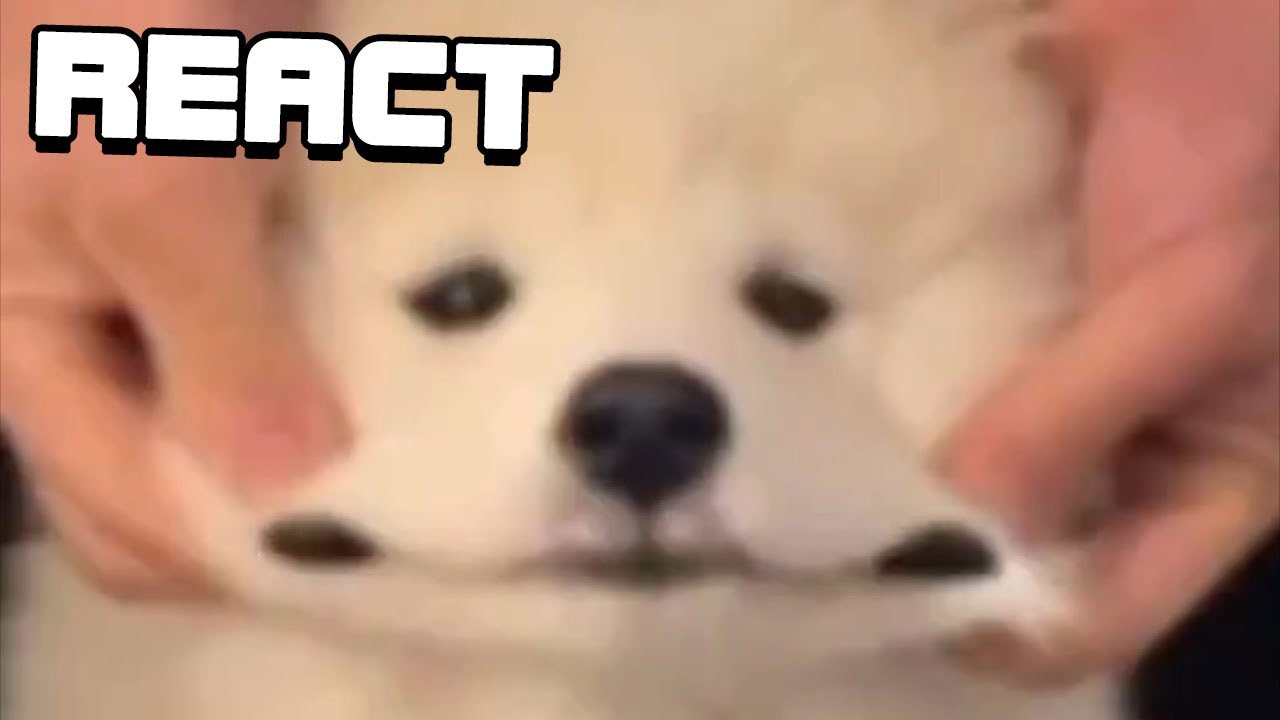 React: Unusual Memes Compilation V140