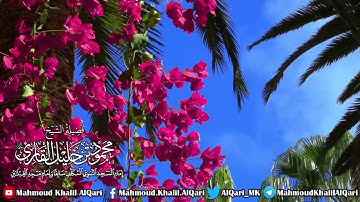 تلاوة تحبيرية من سورة فصلت الشيخ محمود خليل القارئ رحمه الله