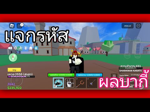 Blox Fruits:แจกรหัส Roblox มีผลบากี้หมัดคาราเต้ดาบมิดไนท์