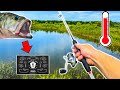 When Summer Bass Fishing SUCKS (This BOX Might Help!!)