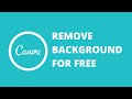 How to Remove a Canva Background for FREE (Redbubble and POD Tips and Tricks)