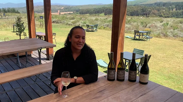 Bosman's winemaker, Natasha Williams is breaking the mould, she tells The Wine Journey how.