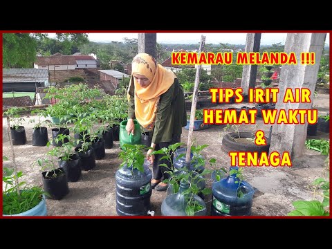 CARA EFEKTIF HEMAT AIR UNTUK MENGATASI LAHAN KERING DI MUSIM KEMARAU | DRIP IRRIGATION SYSTEM @TamanInspirasi