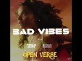 Ayra Starr  Bad Vibes ft Seyi Vibez (OPEN VERSE ) Instrumental BEAT   HOOK By Pizole Beats