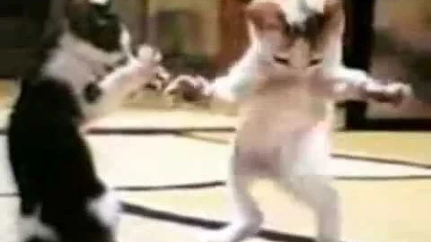 اغنيه ندى حبيبة بابا اغنيه ندى حبيبة بابا