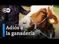 La ganadería en entredicho: salvar animales del matadero | DW Documental