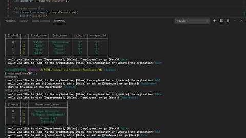 Node JS, MySql Employee and Organization Tracker.