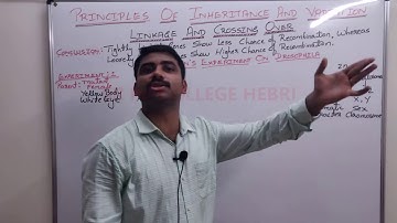 II PU BIOLOGY; Chaper-5;Principles of Inheritance & Variations; Part-13;Lecture by Mr. Sunil Chittal