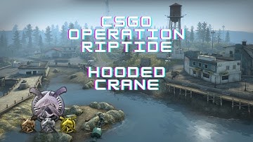 BR/\ - CSGO: Operation Riptide Hooded Crane W / It