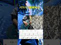 バリバリ最強No1をロックに弾いてみた2 ※TAB譜付き #guitar #v系 #弾いてみた #弾いてみた #ギター #ロック #バリバリ最強No.1 #アニソン #アニソンカバー