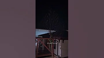 الإنسان يتوه ح تى في منزله 