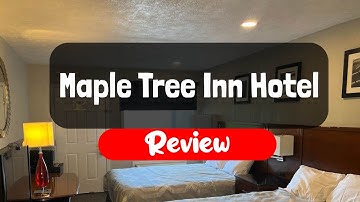 Maple Tree Inn Hotel Review - Is It Worth The Price?