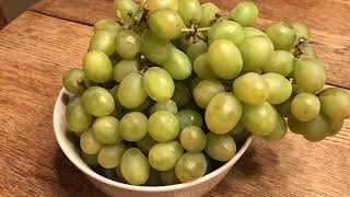 Grape Daily (DAY 2149)