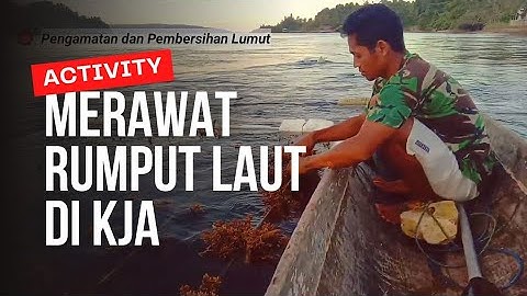 Cara Budidaya Rumput Laut Keramba Jaring Apung, Anti Hama.