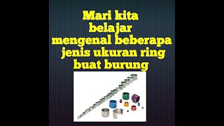 Mari mengenal dan belajar beberapa ukuran RING buat burung