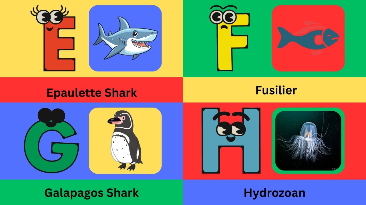 ABC Water Animals | Ocean, River, and Lake Creatures from A to Z! - YouTube