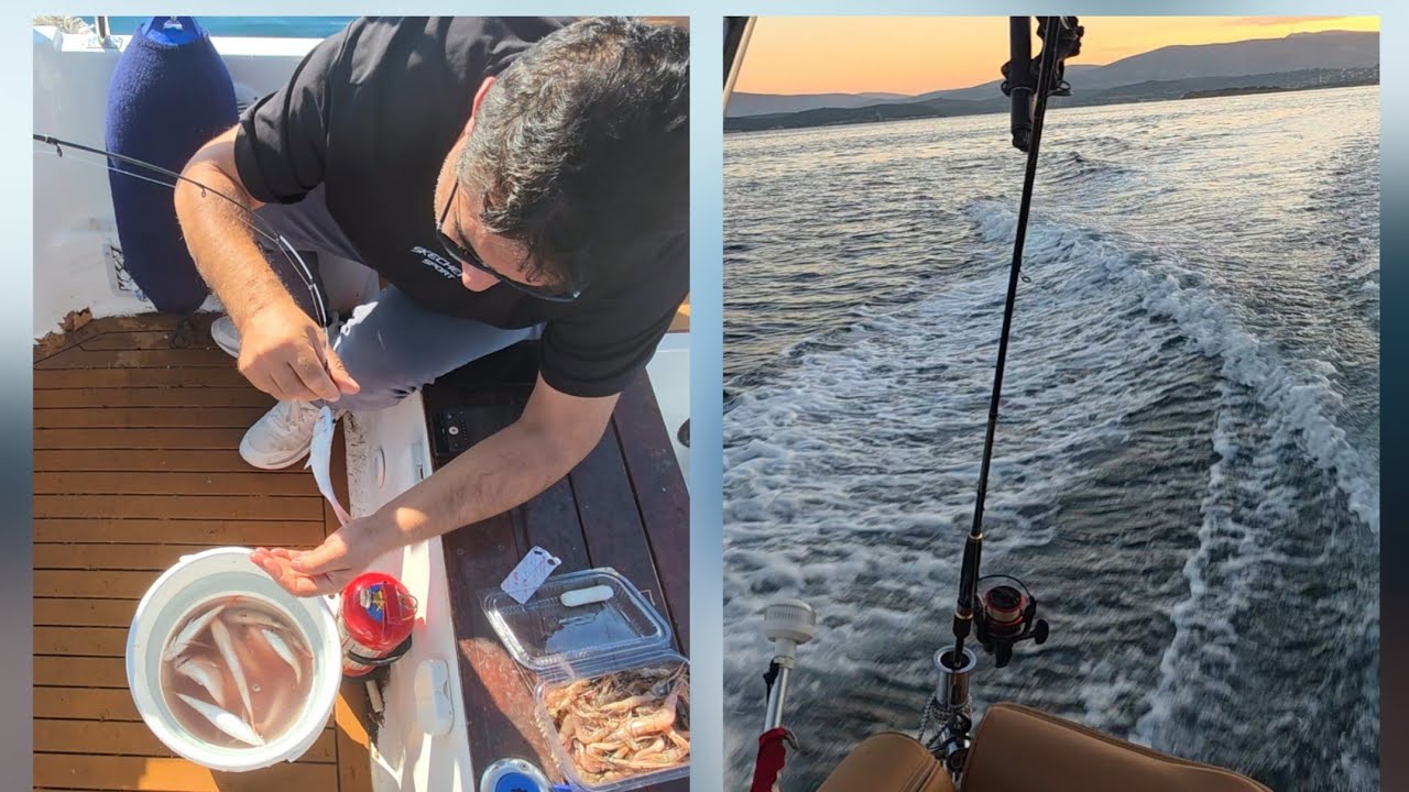 ☀️ Sabahın İlk Işıklarıyla Balık Keyfi Başladı! 🐟🐟🌊 #balık #tekne #deniz 