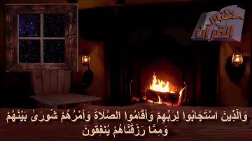سورة الشورى _ الآية _ 38