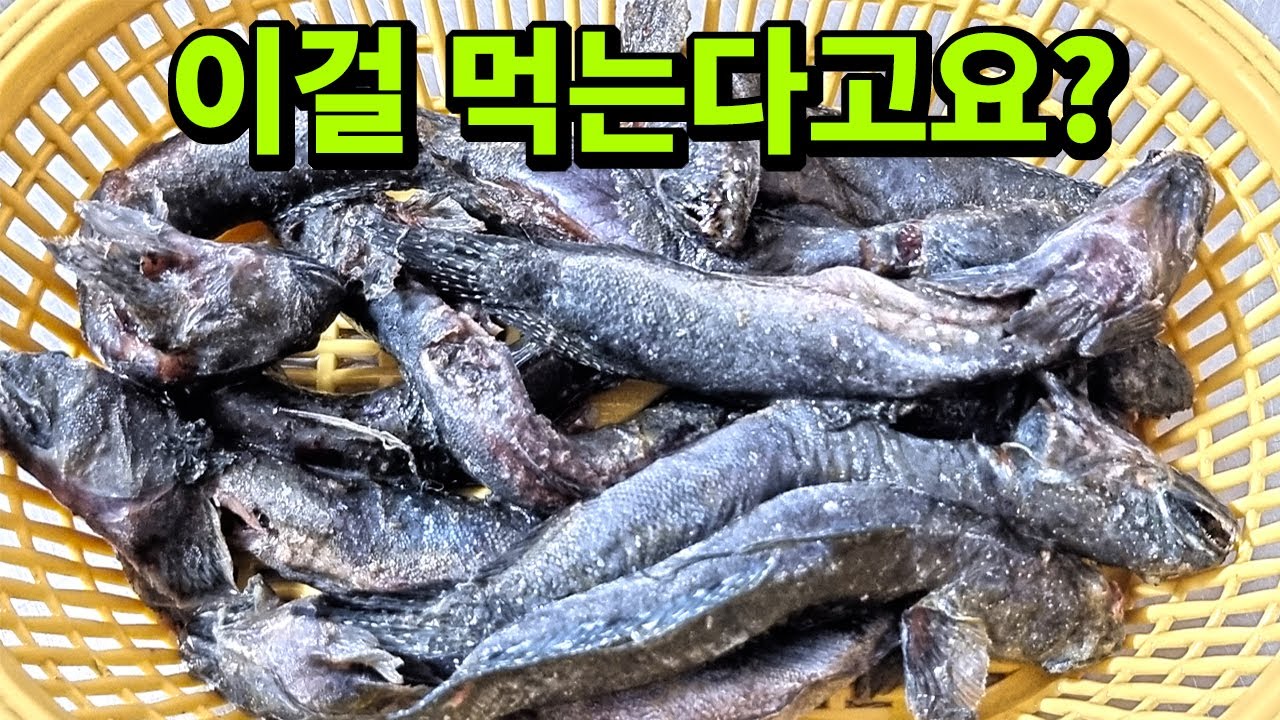 이게 순천의 명물? 경악스런 비주얼인데 한번 맛보면 웃음이 절로 나는 생선(입질의 해산로드 #4, 순천편)
