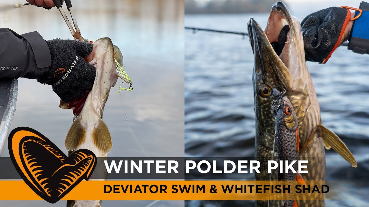 Polder Fishing in Winter with Sean Wit and Deviator Swim and the White Fish  Shad #pike 