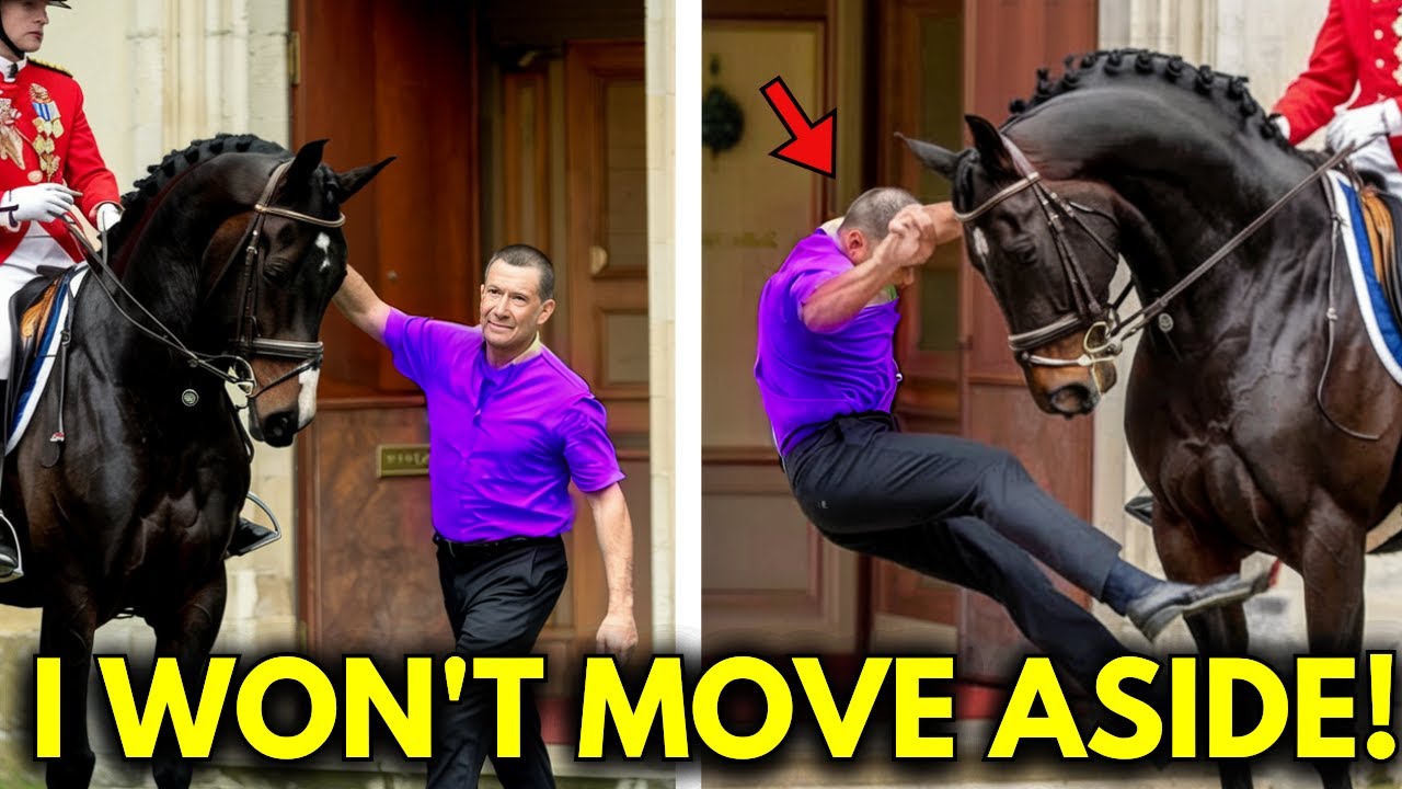 Когда ГЛУПЫЙ ДУРАК встречает коня королевской гвардии — то, что происходит дальше, ШОКИРУЕТ!