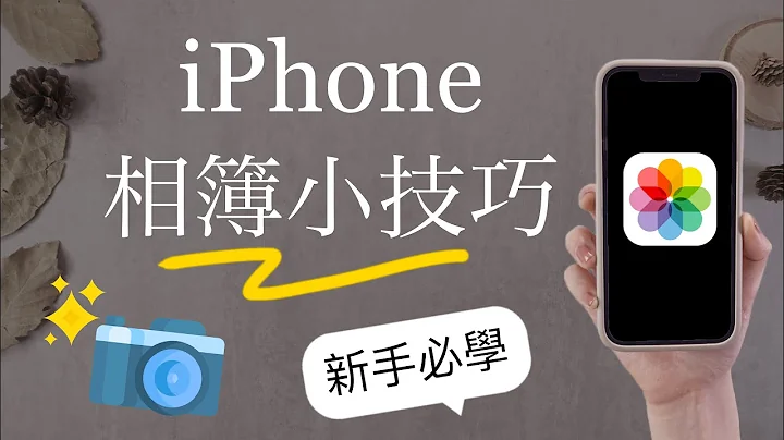 新手必看！iPhone相簿整理小技巧📸自動分類篩選 共享 辨識搜尋 iOS必學 旅遊回憶 - 天天要聞