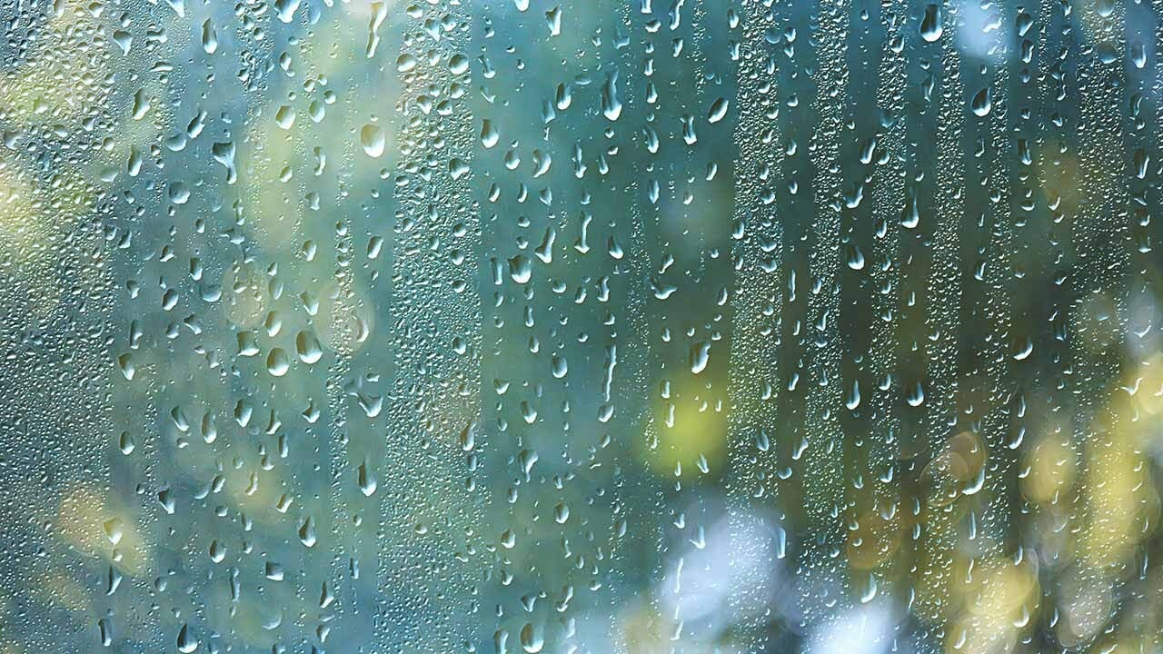 Rain and storm chances throughout the day - YouTube