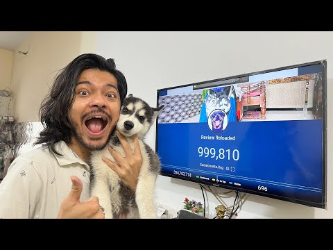 1 Million special 😍!! With panda 
