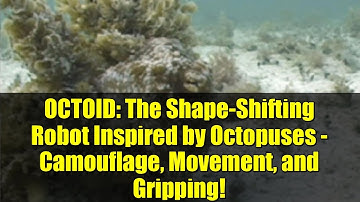 OCTOID: The Shape-Shifting Robot Inspired by Octopuses - Camouflage, Movement, and Gripping!
