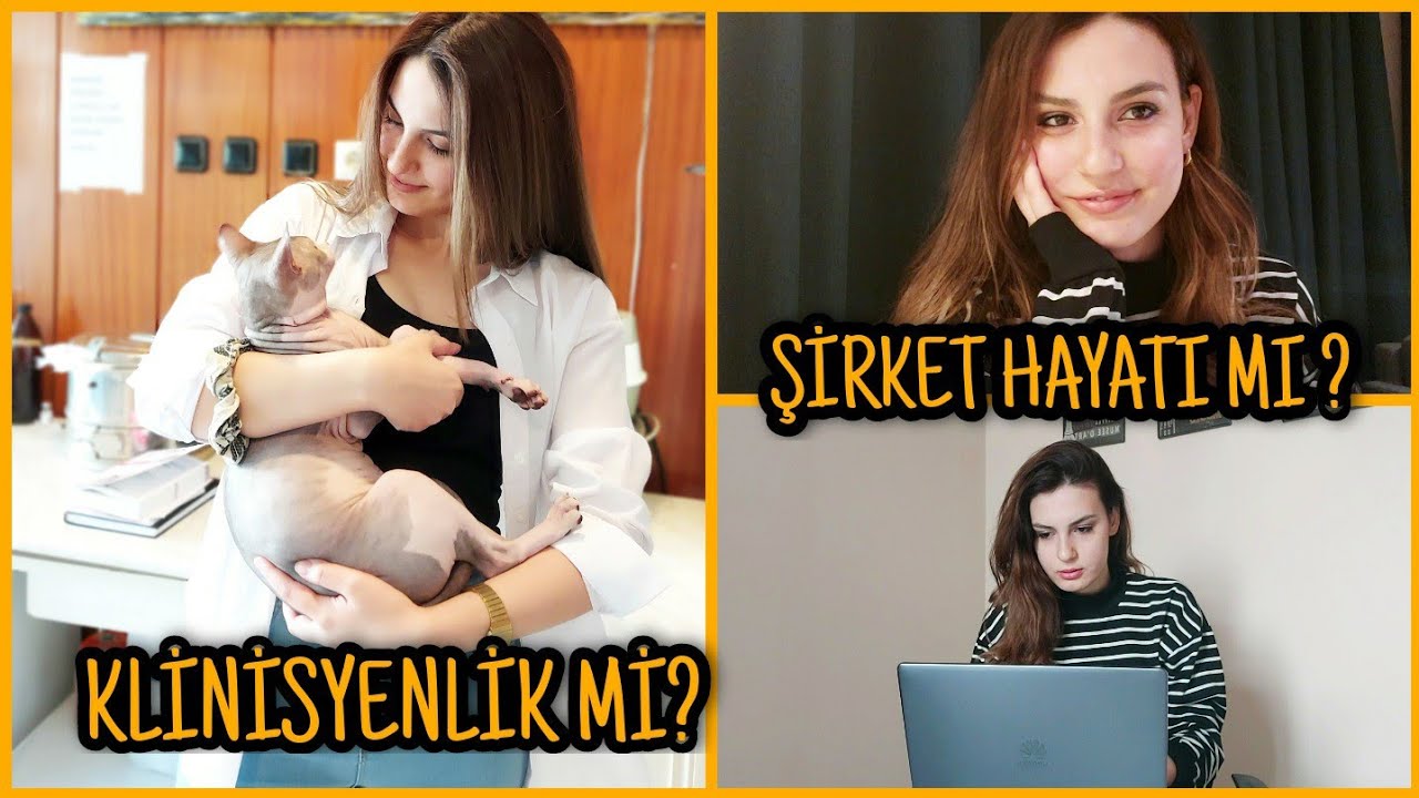 KLİNİSYENLİK Mİ ŞİRKET HAYATI MI ? | İşime Karar Verme Sürecimdeki Düşüncelerim , Bocalamalarım |