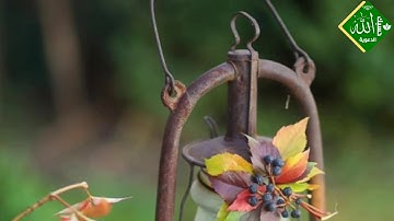 وإذا اذقنا الناس رحمة فرحو بها - تلاوة