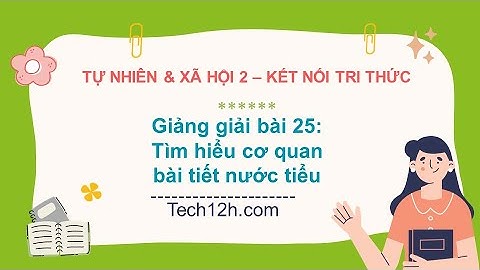 Giảng bài 25: Tìm hiểu cơ quan bài tiết nước tiểu | Bài giảng tự nhiên và xã hội 2 kết nối tri thức