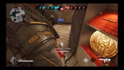 Rogue Company Best Anvil BR