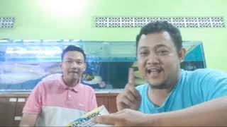 Download Lagu cucu sakera mdr sudah tercantum 10 Besar give way di graha Mbrk semoga beruntung 😀😀 MP3 Download Lagu cucu sakera mdr sudah tercantum 10 Besar give way di graha Mbrk semoga beruntung 😀😀 MP3