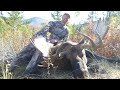My favourite on moose hunt call in sequences   3 of 3